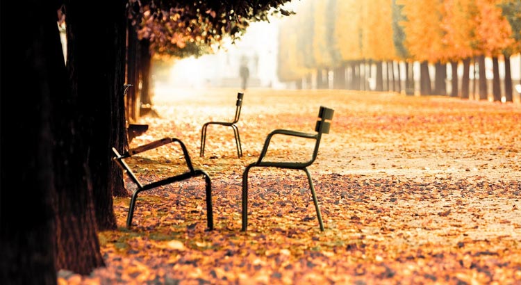 Autumn in Paris